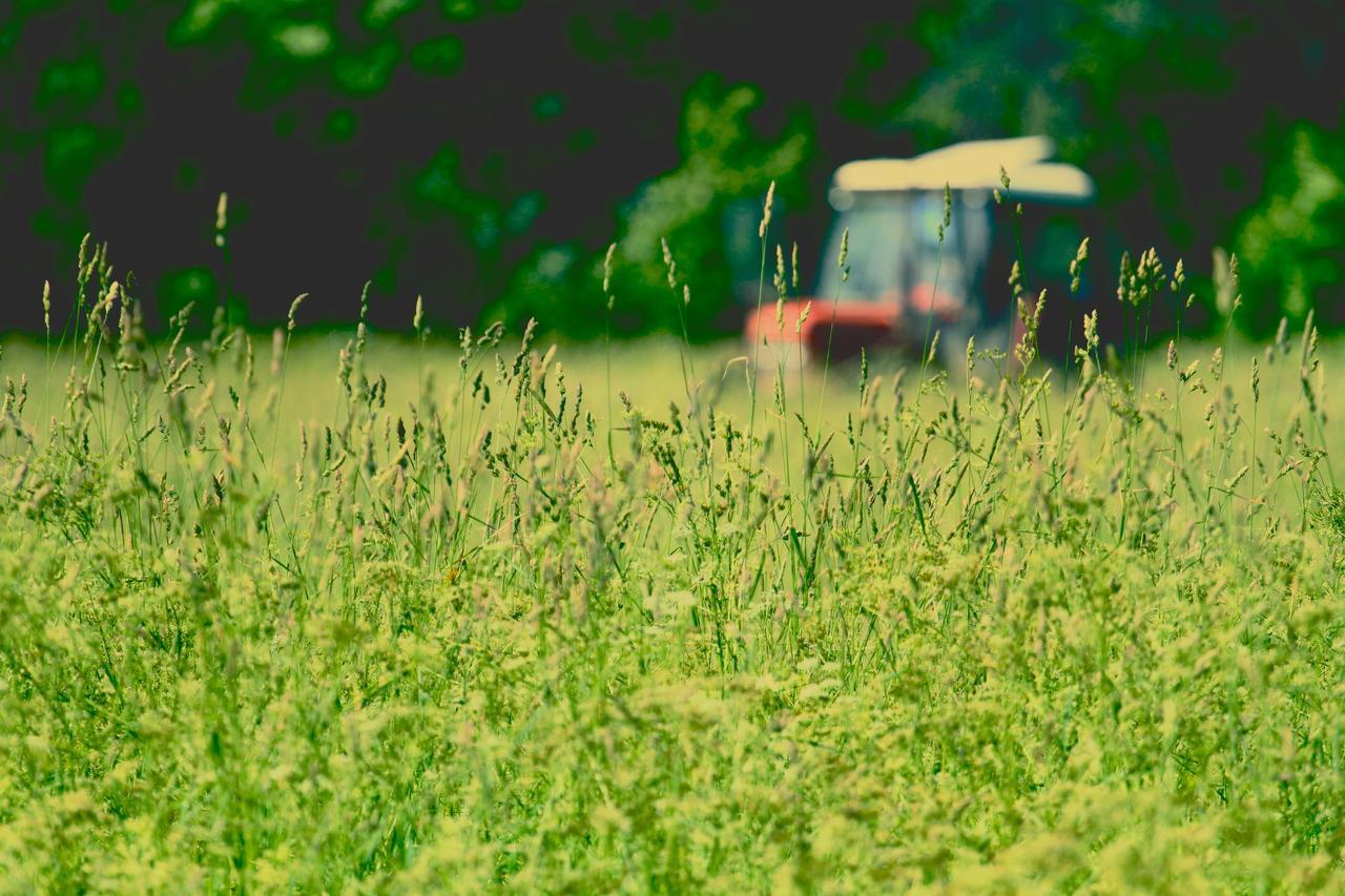 Metsara B & B Tornimae Esterno foto