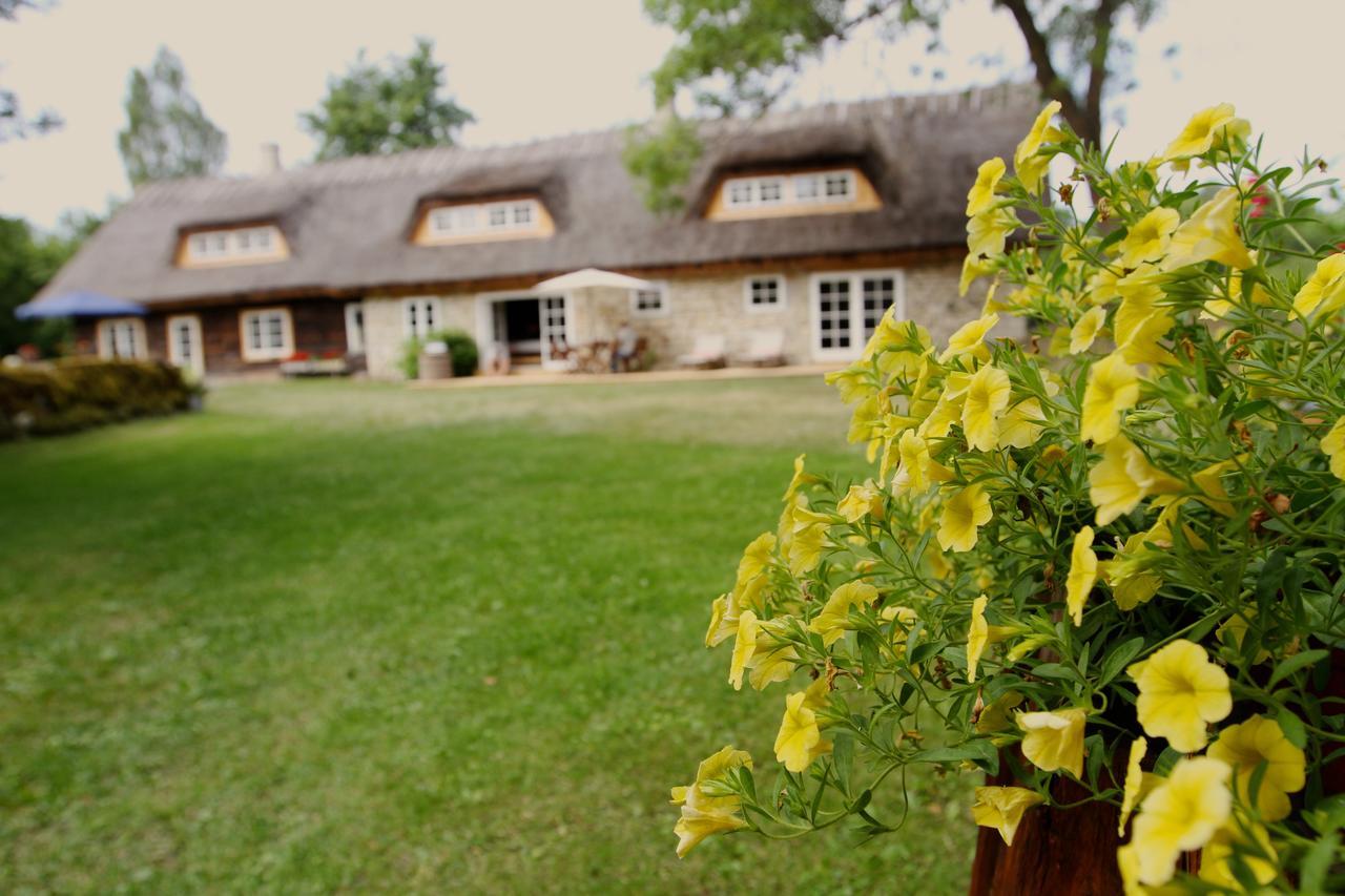 Metsara B & B Tornimae Esterno foto