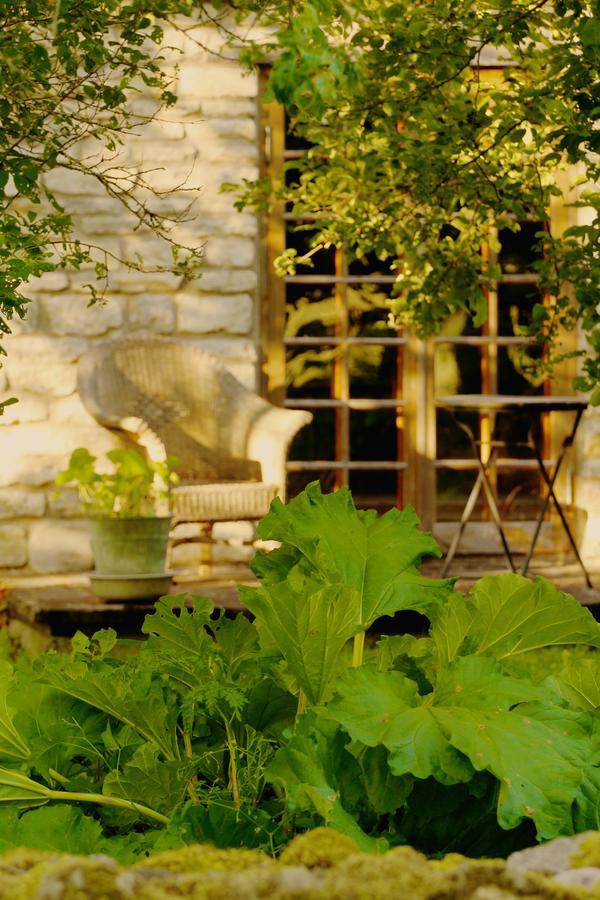 Metsara B & B Tornimae Esterno foto